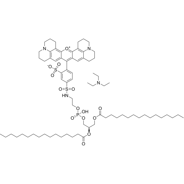 Sulforhodamine 101 DHPE 187099-99-6